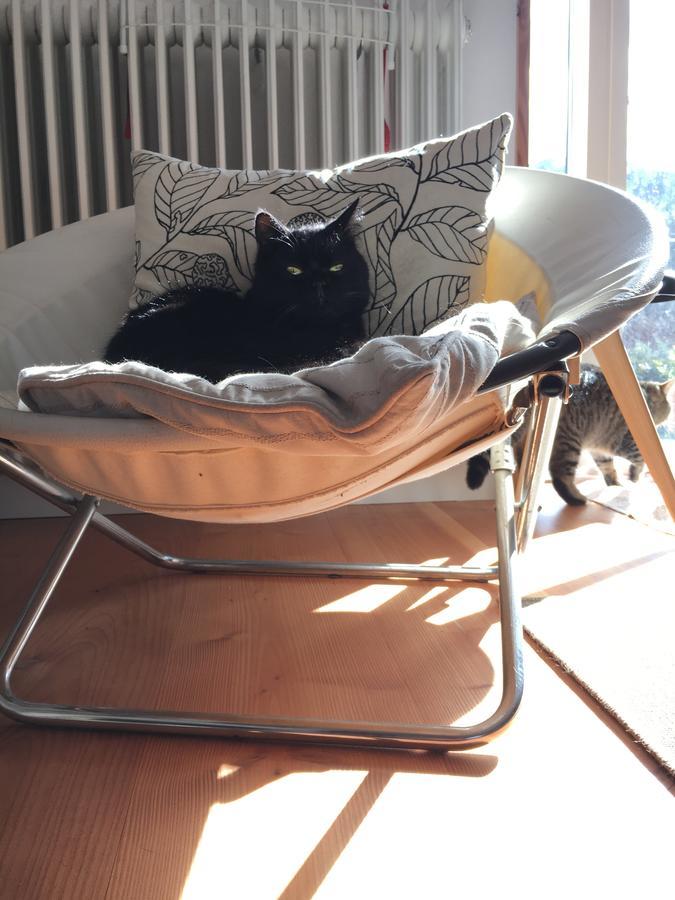 Casa Elita 호텔 Larrasoana 외부 사진